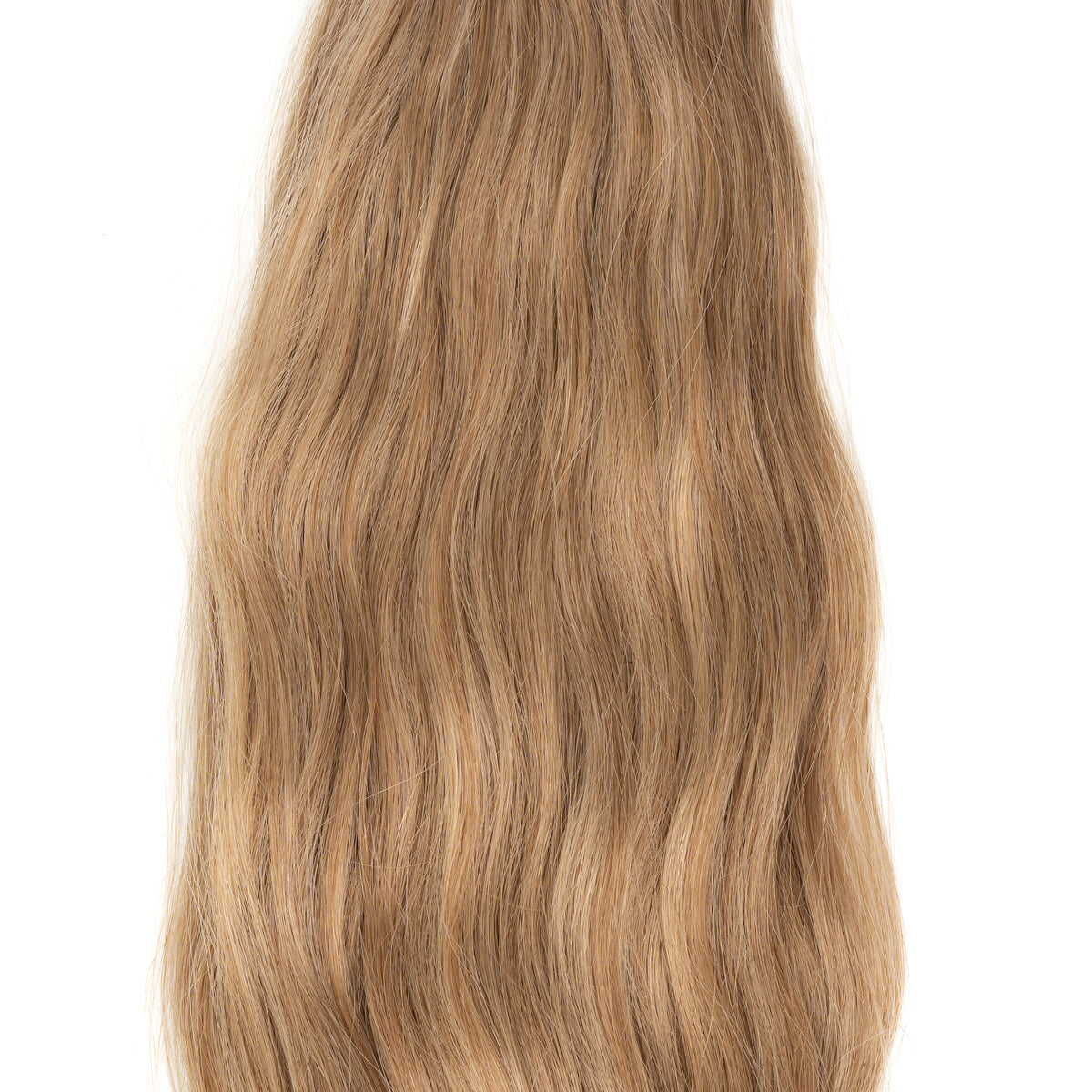 Rooted Champagne - Euro Wavy Microweft